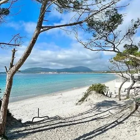 Mansarda Casa Mariuccia *